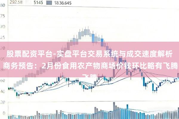 股票配资平台-实盘平台交易系统与成交速度解析 商务预告：2月份食用农产物商场价钱环比略有飞腾